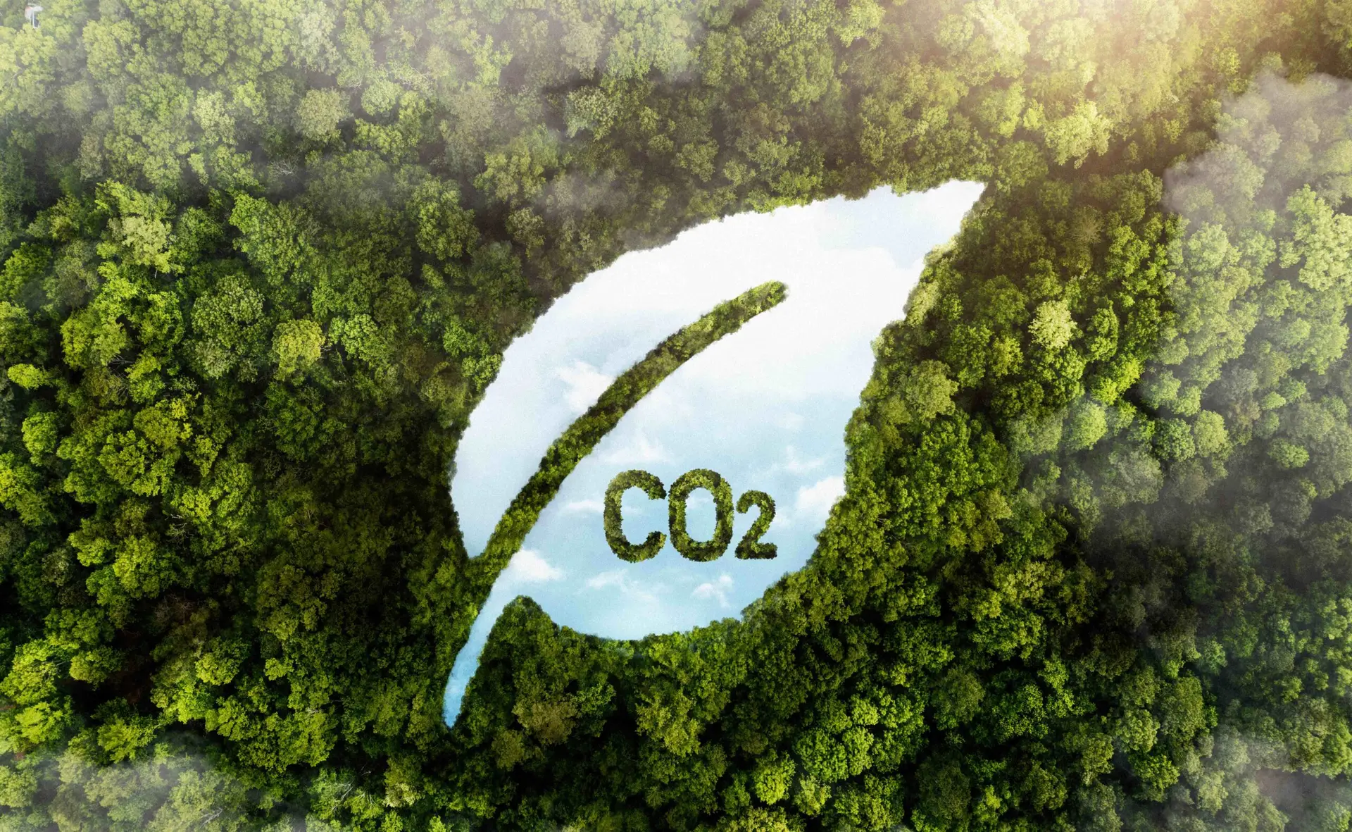 Économie d'énergie et réduction CO2 . bilan COP28
