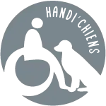 HANDI'CHIENS éduque et remet gratuitement des chiens d'assistance à des personnes en situation de handicap et/ou de vulnérabilité