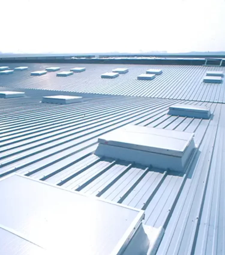 Dômes de toiture en polycarbonate offrant une luminosité naturelle et une isolation efficace