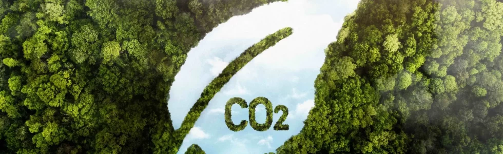 Économie d'énergie et réduction CO2 . bilan COP28